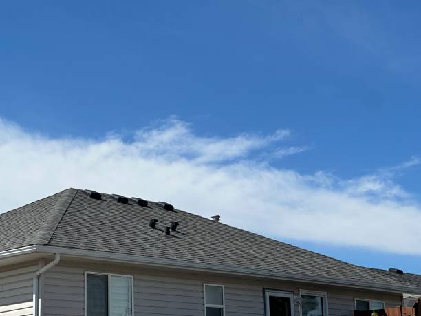 Best Solar Panel Roofing Installation  in Magnolia, AR